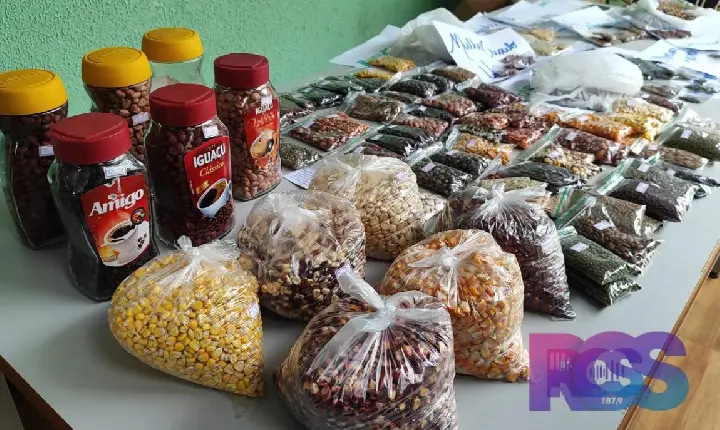 3ª Festa das Sementes – Escola Estadual do Campo Nova Santana 🌾🌱
