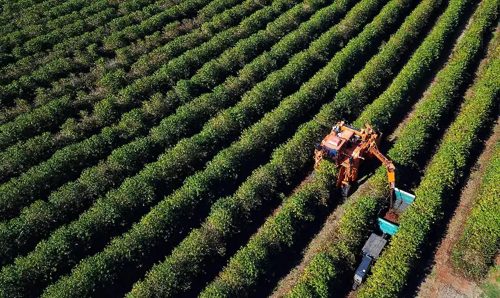 Agronegócio somou R$ 1,26 bilhão em contratações do BRDE no Paraná em 2025