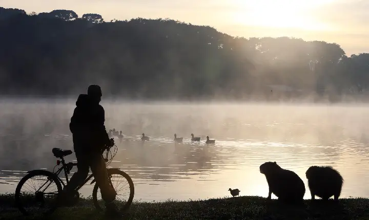 Após recordes de frio em todo o Paraná na quinta, termômetros vão cair ainda mais