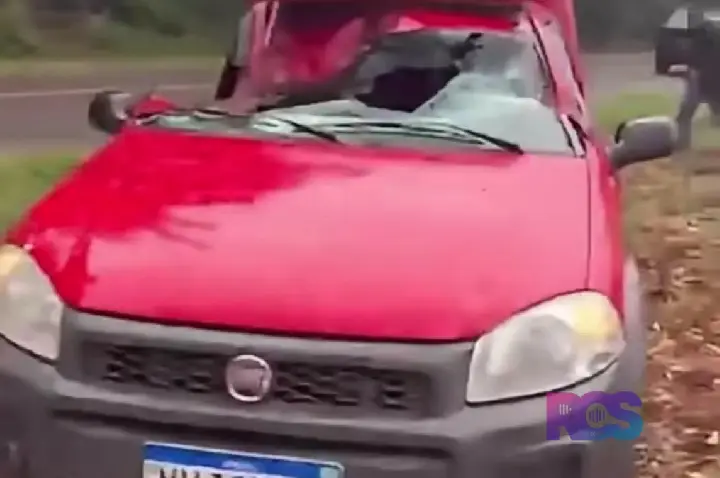 Árvore cai sobre carro durante temporal entre Cruzeiro do Iguaçu e Dois Vizinhos