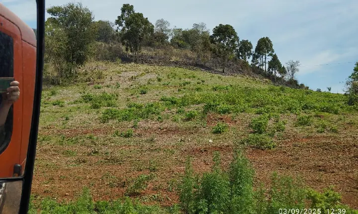 Bombeiros Comunitários combatem incêndio em vegetação na Linha Santa Luzia