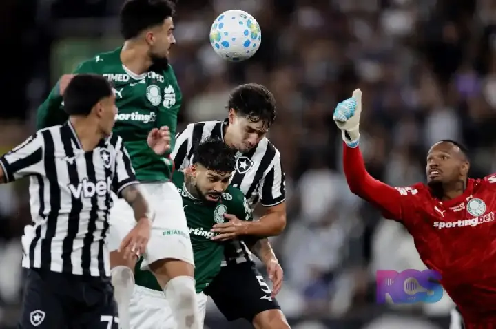 Botafogo segura Palmeiras e ajuda Flamengo, novo líder do Brasileirão