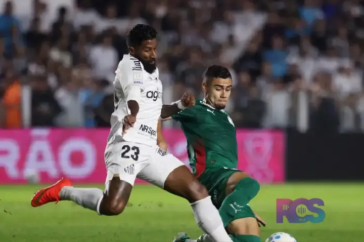 Brasileirão: Palmeiras fica no zero com o Santos e Flamengo agradece