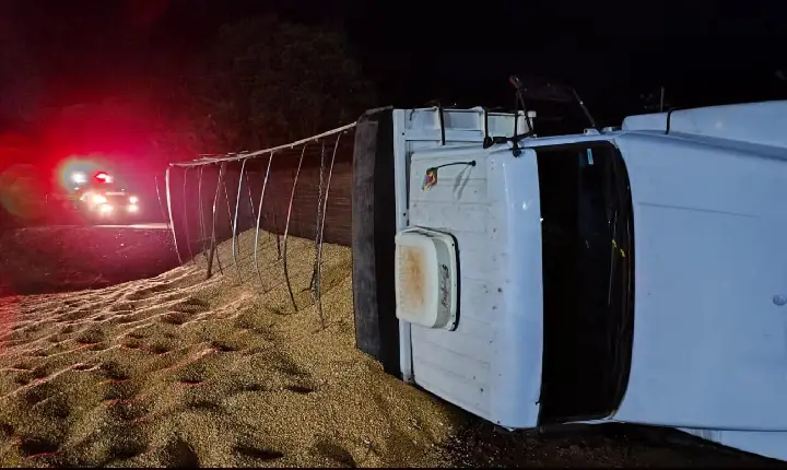 CAMINHÃO CARREGADO DE MILHO TOMBA ÀS MARGENS DA BR 373 EM CHOPINZINHO