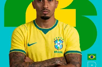 Galeria de Imagem