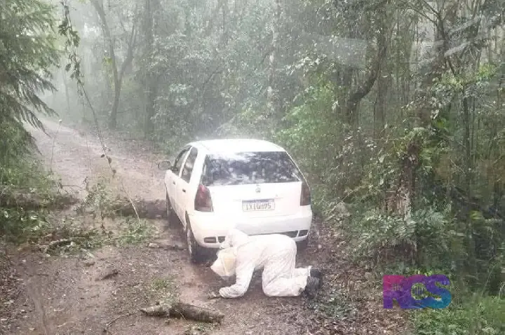 Carro fica preso sobre árvore e motorista é atacado por abelhas em Vitorino