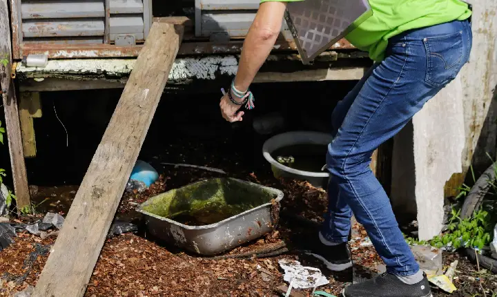 Casos e mortes de dengue caem mais de 80% no Paraná em 2025