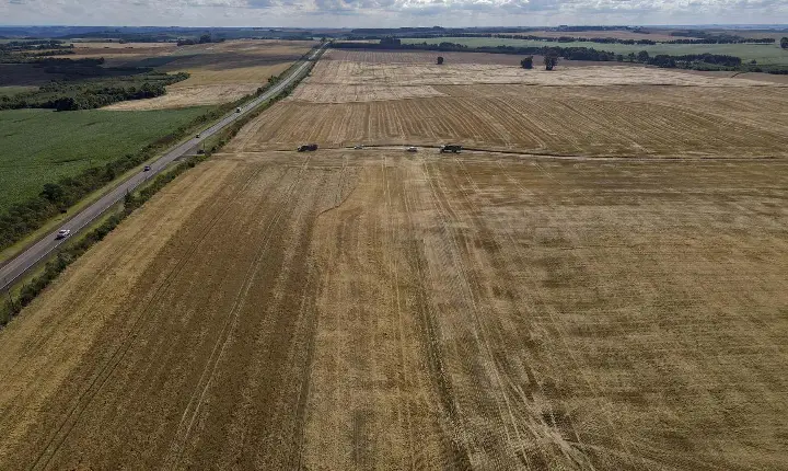 Com 46,8 milhões de toneladas, Paraná teve maior safra de grãos de sua história em 24/25