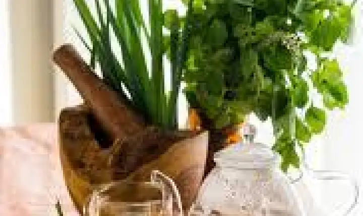 São Jorge D’Oeste recebe curso de plantas medicinais com apoio da Itaipu e Sustentec