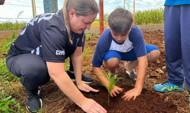 Com entrega de mudas, Semana do Meio Ambiente ajuda a regenerar 4,8 hectares no Paraná