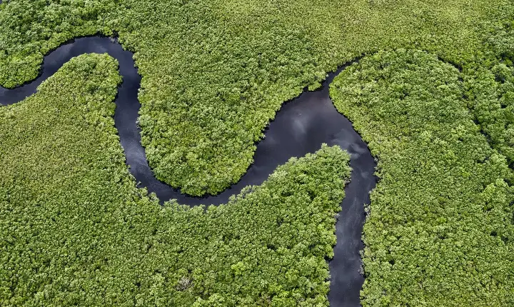 Com tecnologia e fiscalização, Paraná reduz desmatamento de maneira consistente