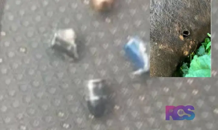Disparos de arma de fogo matam bovino e atingem casa na zona rural de Francisco Beltrão