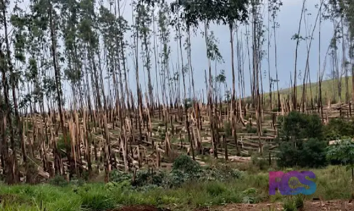 DOIS TORNADOS SÃO CONFIRMADOS NO PARANÁ EM MENOS DE 24 HORAS
