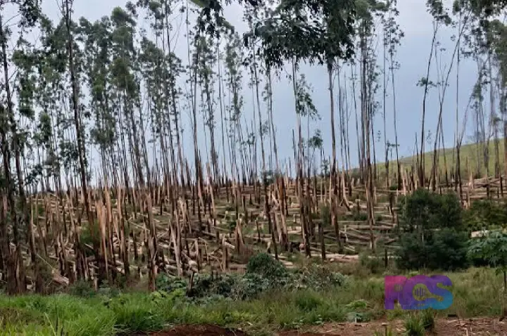 DOIS TORNADOS SÃO CONFIRMADOS NO PARANÁ EM MENOS DE 24 HORAS