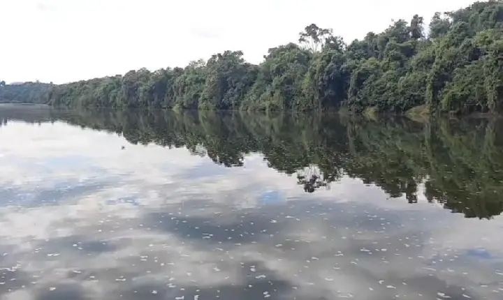 Expedição Guardiões do Rio Chopim mobiliza comunidade e reforça compromisso ambiental em São Jorge D’Oeste
