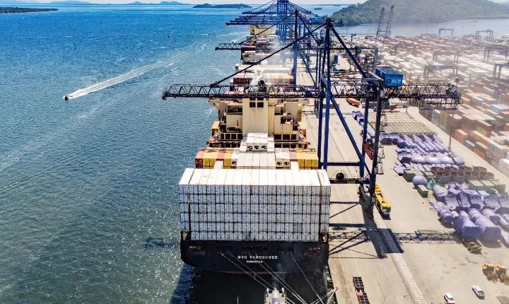 Exportações paranaenses de proteínas animais avançam 5,4% no 1º trimestre de 2026