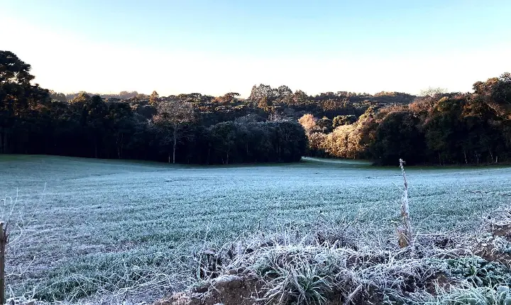 Extremos nas temperaturas e tornados: 2025 registrou dados meteorológicos históricos no Paraná