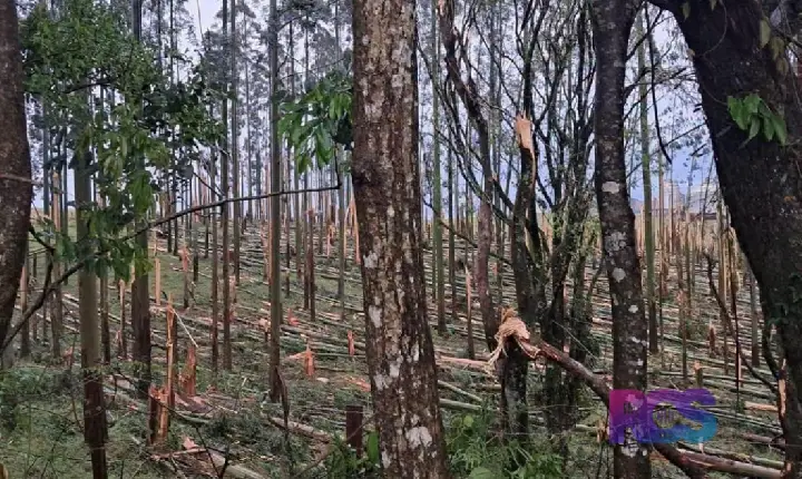 FORTES TEMPORAIS ATINGEM ESPIGÃO ALTO DO IGUAÇU E CAUSAM ESTRAGOS