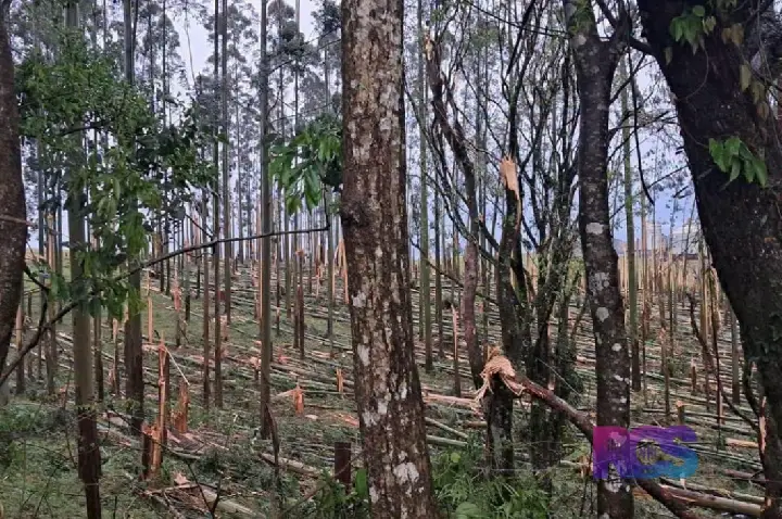FORTES TEMPORAIS ATINGEM ESPIGÃO ALTO DO IGUAÇU E CAUSAM ESTRAGOS