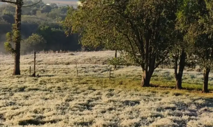 Geada cobre paisagens de São Jorge D’Oeste nesta quinta-feira (25)