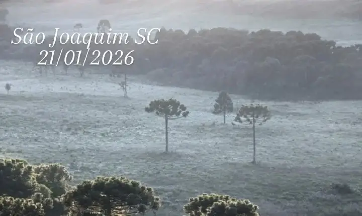 Geada é registrada em São Joaquim em pleno verão e confirma frio atípico na Serra Catarinense