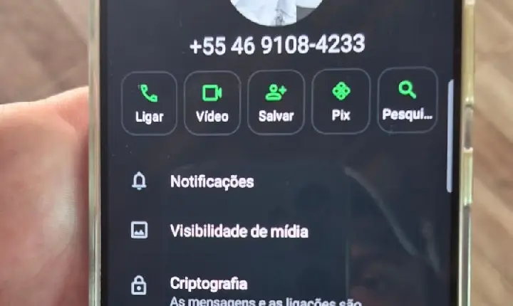 Golpistas usam foto de perfil falsa no WhatsApp para pedir dinheiro - São Jorge D'Oeste/PR