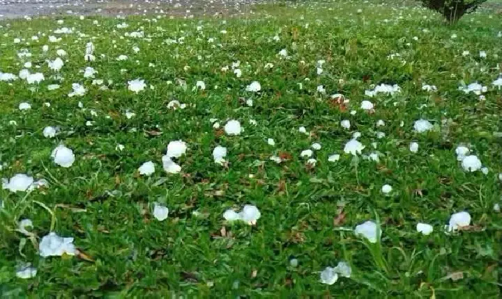 GRANIZO ATINGE COMUNIDADE DO INTERIOR DE MANGUEIRINHA NESTA QUINTA-FEIRA