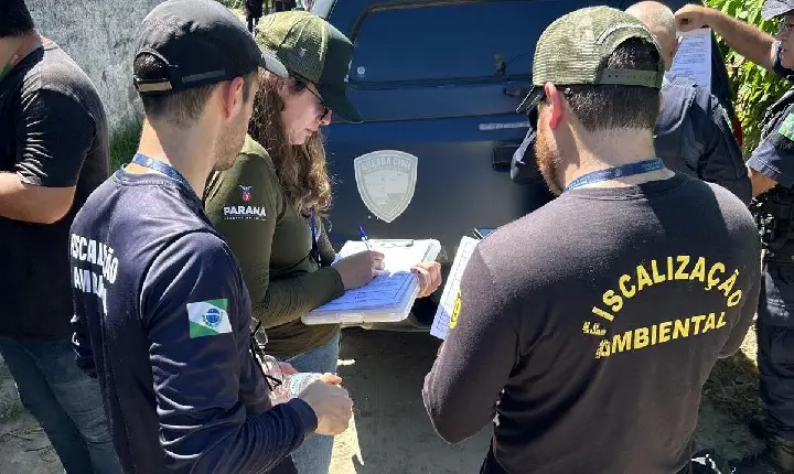 IAT cria novo canal para denúncias de crimes ambientais no Paraná