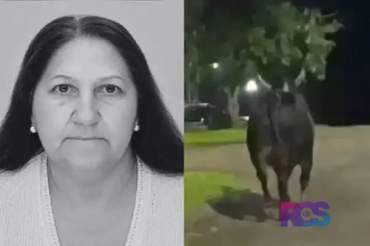 Idosa de 78 anos morre após ser atacada por touro que fugiu de rodeio em Barbosa Ferraz, no Paraná
