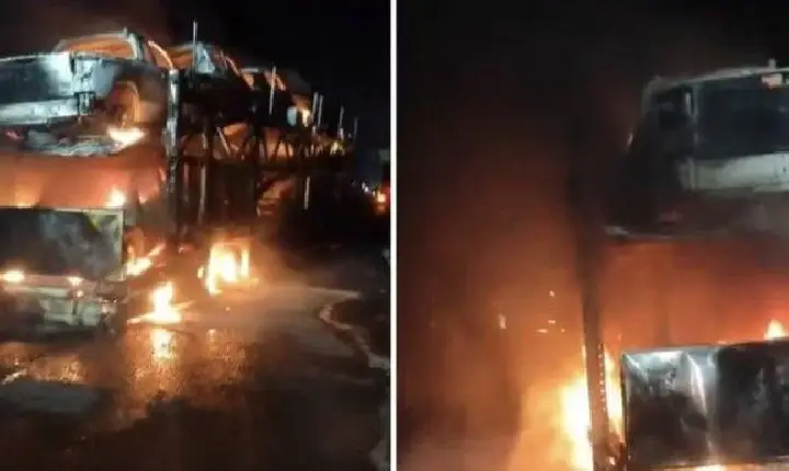 Incêndio destrói caminhão-cegonha e carros na BR-101