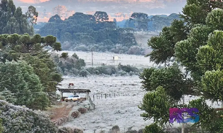 Massa de ar frio congela paisagem em SC e termômetros chegam a -7,7 °C