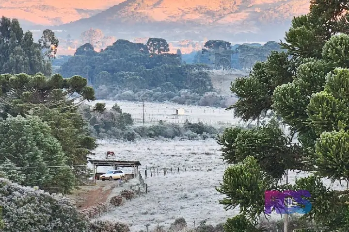 Massa de ar frio congela paisagem em SC e termômetros chegam a -7,7 °C