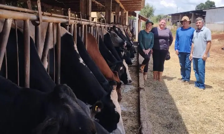 Melhorias do solo, pastagens e nutrição do rebanho fortalecem pecuária leiteira do Paraná
