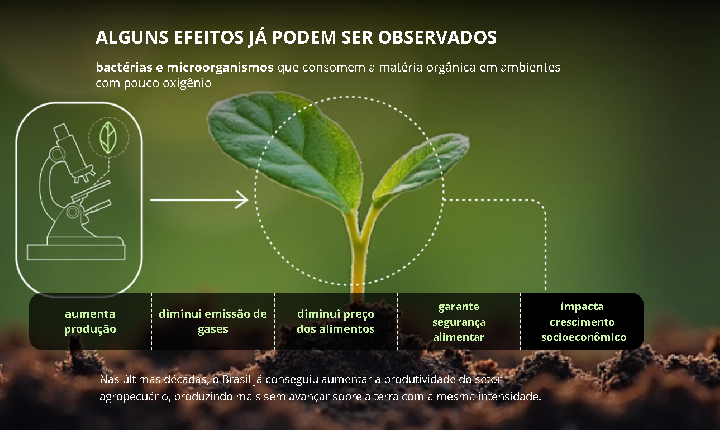 MUDANÇAS CLIMÁTICAS AFETAM A PRODUÇÃO DE ALIMENTOS