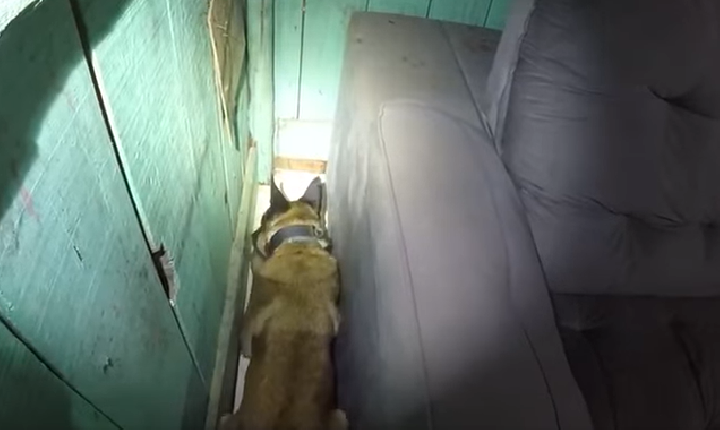 Operação conjunta em Coronel Vivida apreende mais de 1 kg de crack, R$ 7 mil e prende três pessoas