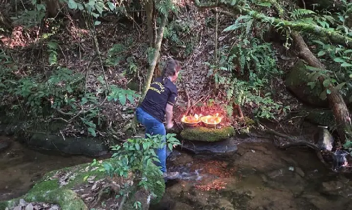 Operação contra crimes ambientais em Unidades de Conservação aplica R$ 878 mil em multas