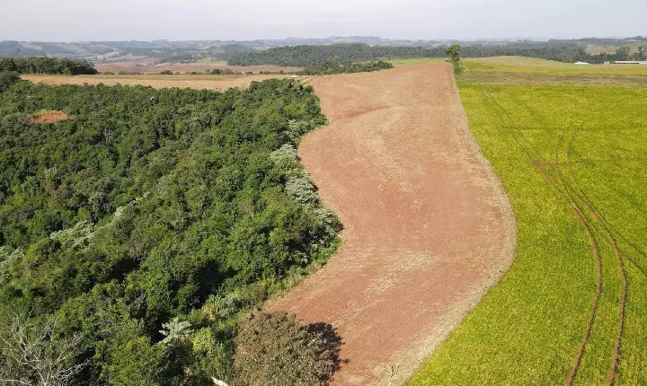 Operação contra o desmatamento ilegal no Sudoeste terminou com quase R$ 3 milhões em multa