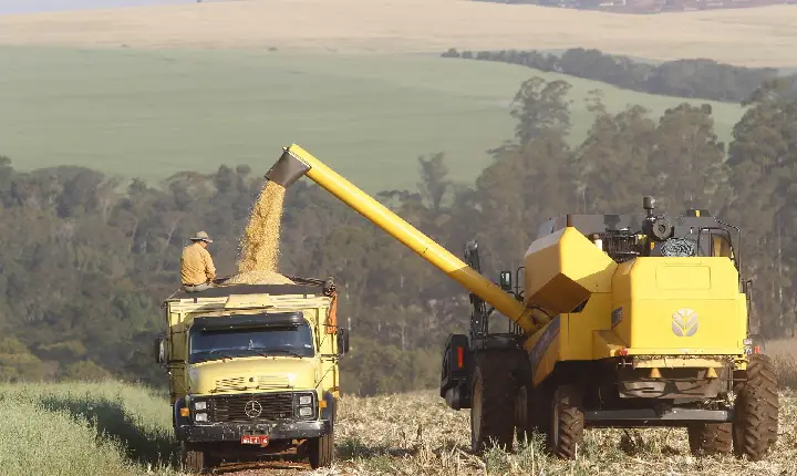 Paraná projeta maior safra de milho da história em 24/25, mesmo com perdas climáticas
