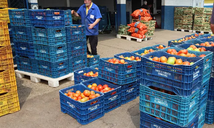 Paraná tem maior número de municípios com políticas de segurança alimentar do Brasil