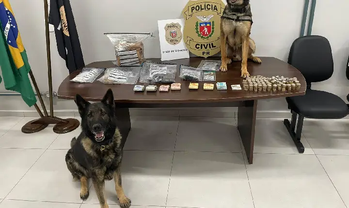 PCPR e PMPR prendem três pessoas em flagrante durante a investigação de homicídio ocorrido em Pato Branco