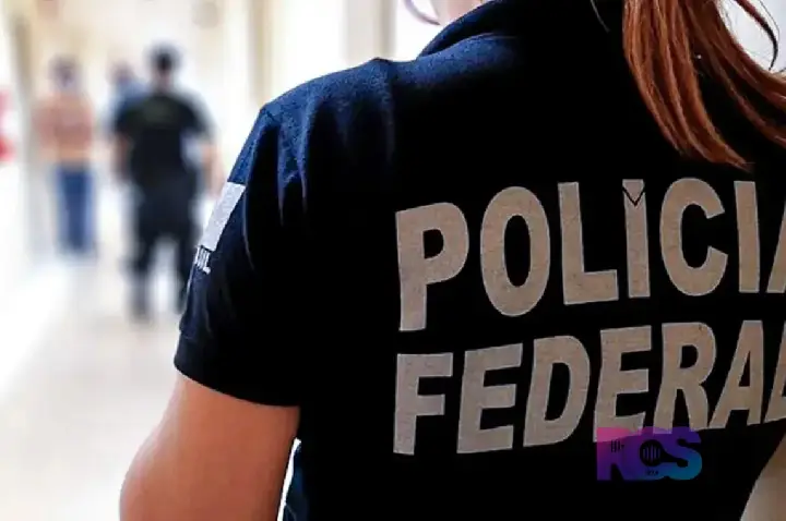 PF faz operação contra fraudes no registro de armas de colecionadores