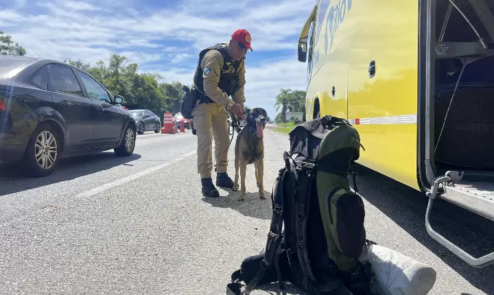 PMPR registra 9,6 mil infrações de trânsito durante o recesso de Ano Novo nas rodovias