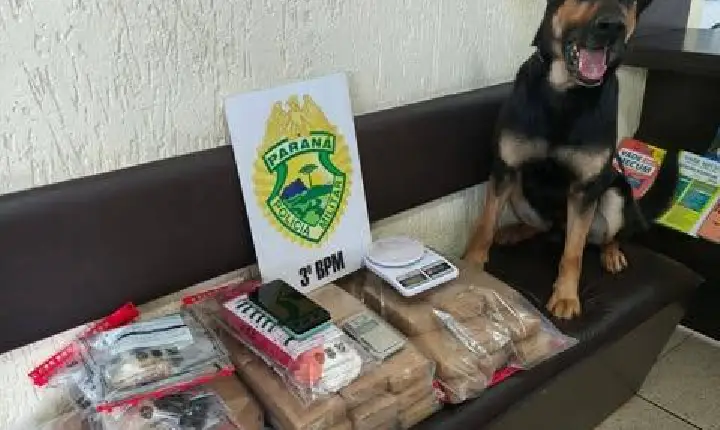 Polícia Militar apreende mais de 25 kg de drogas em operação em Pato Branco
