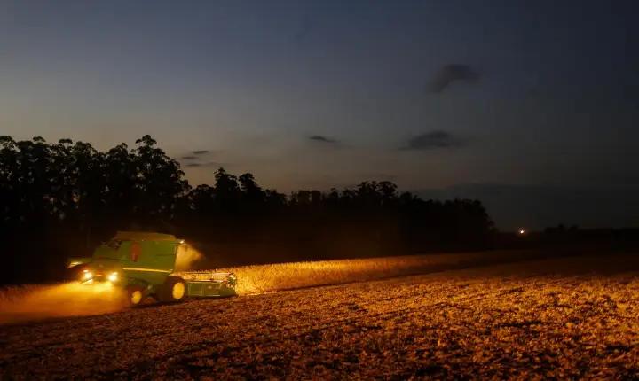 Portaria do Paraná amplia período de plantio da soja para produção de sementes