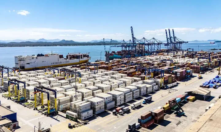 Porto de Paranaguá responde por quase 50% das exportações brasileiras de frango