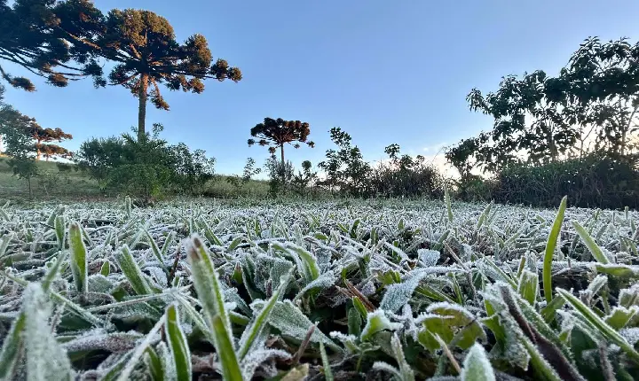 Primeira onda de frio chega ao Paraná semana que vem com termômetros perto de 0ºC