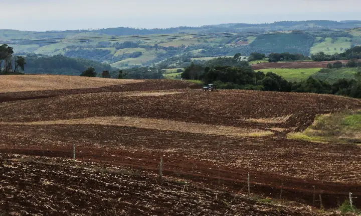 Produtores da região Sudoeste entram no vazio sanitário da soja, que vai até setembro