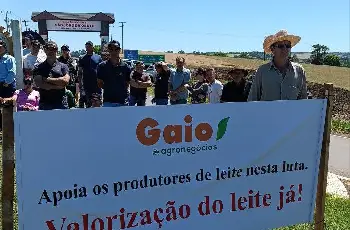 Galeria de Imagem