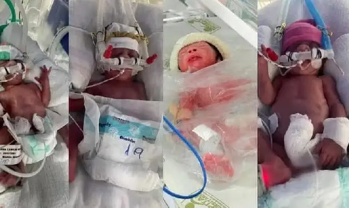 Quadrigêmeos nascem no Paraná após casal tentar ter filhos por quatro anos