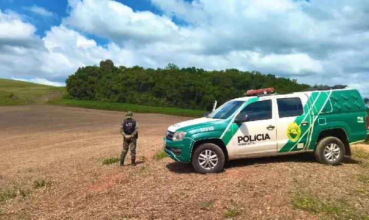REALEZA: PROPRIETÁRIO É MULTADO EM R$ 8 MIL APÓS POLÍCIA AMBIENTAL IDENTIFICAR POLUIÇÃO E DESMATAMENTO